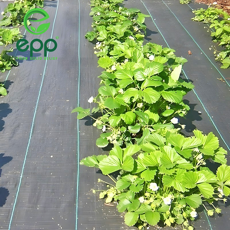 Benefits of extending weed control fabric lifespan