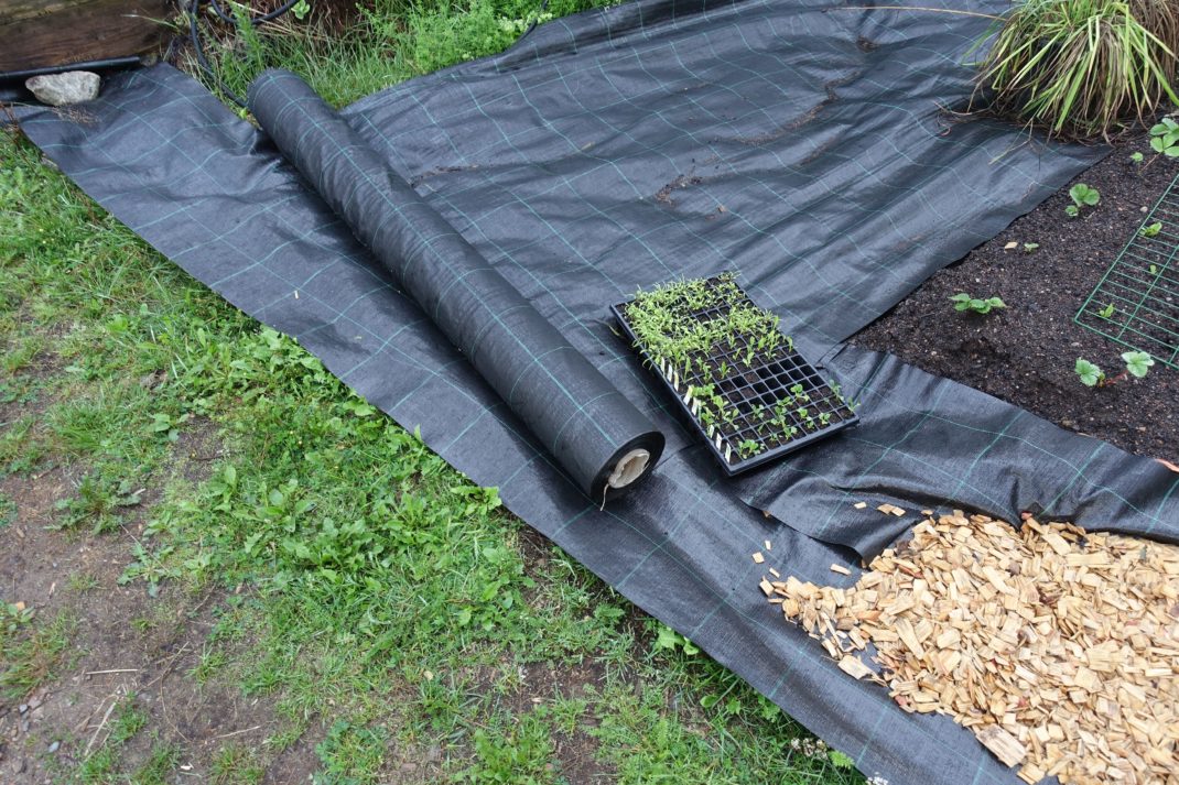 ground-cover-weed-control-fabric.jpg