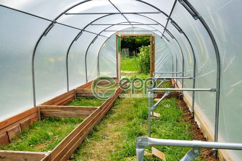 clear-greenhouse-film.jpg