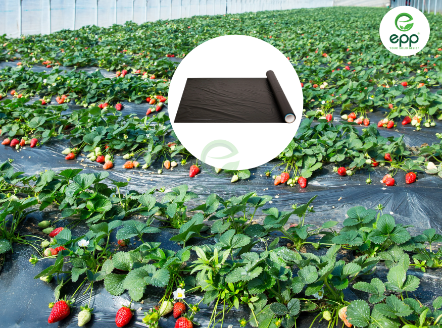 Experience to prolong lifespan Woven Weed Barrier Fabric usage