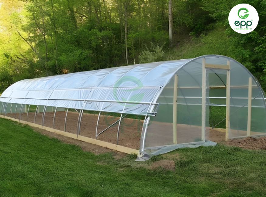 Compare the benefits of using greenhouse cover for winter with not using it
