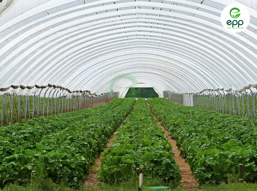 Introduction to HDPE Greenhouse Film